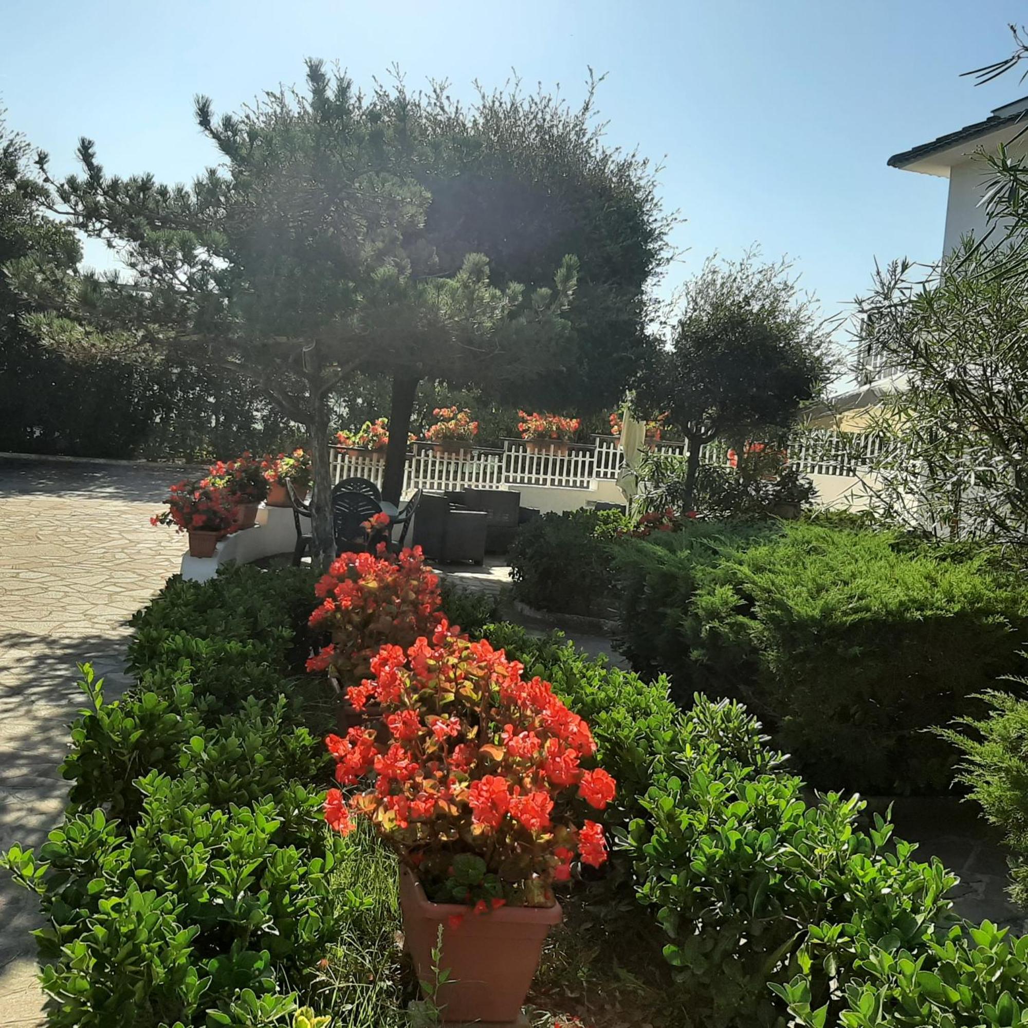 Villa Valentini: Beachfront Comfort with Garden and Private Parking Minturno Exterior photo